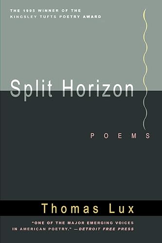 Split Horizon: Contemporary American Poetry Exploring Individuality with Quirky Humor and Weird Rhythms